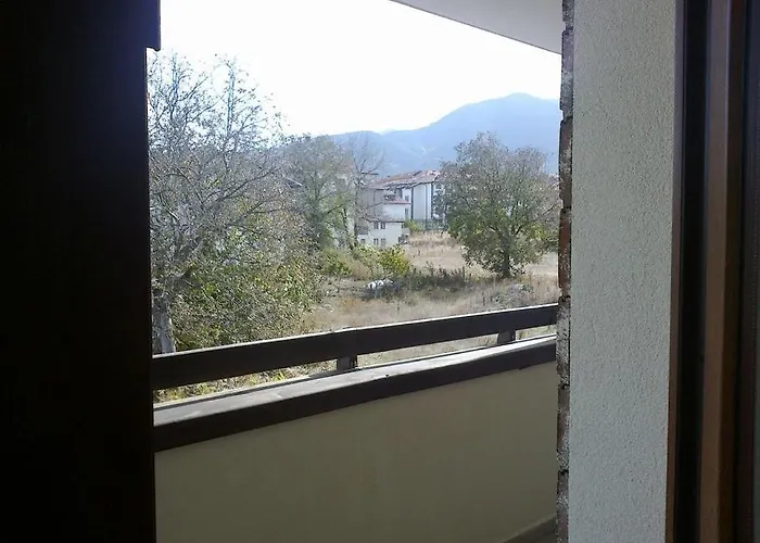 Guest Vachin Banszko